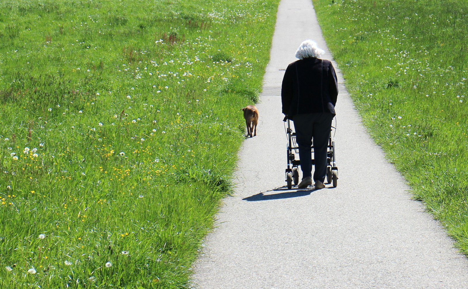 Rollator bei Parkinson, die Entscheidung